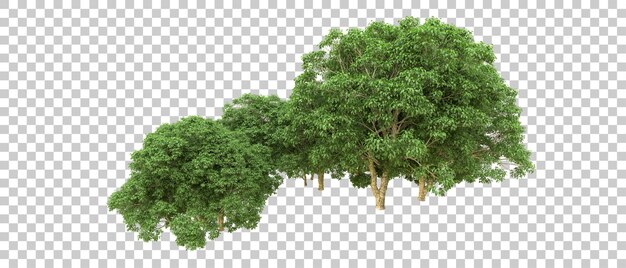 Bosque verde aislado en el fondo Ilustración de renderización 3D