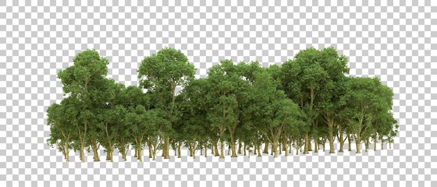 Bosque verde aislado en el fondo Ilustración de renderización 3D