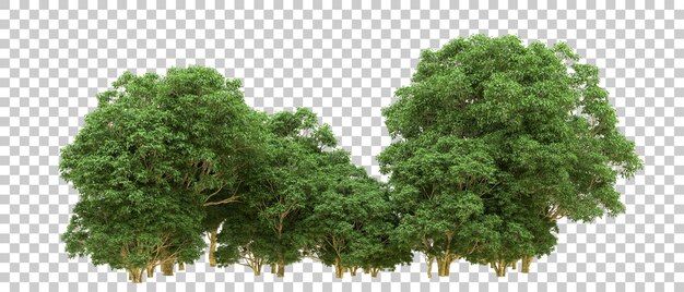 Bosque verde aislado en el fondo Ilustración de renderización 3D