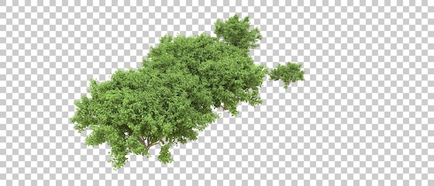 Bosque verde aislado en el fondo Ilustración de renderización 3D