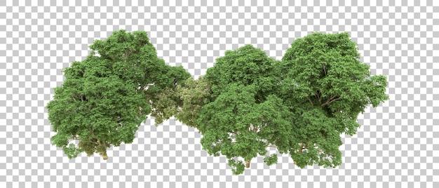 Bosque verde aislado en el fondo Ilustración de renderización 3D
