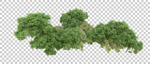 Bosque verde aislado en el fondo Ilustración de renderización 3D