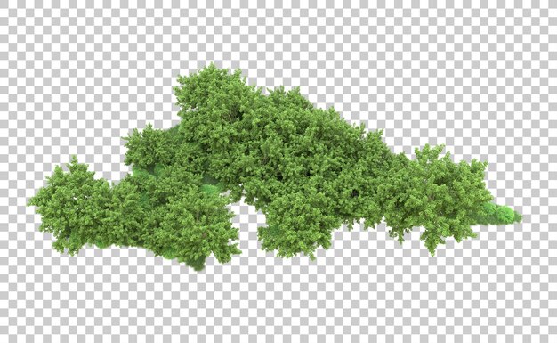 Bosque verde aislado en el fondo Ilustración de renderización 3D