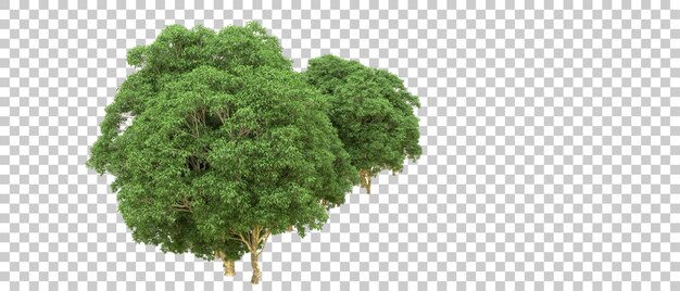 Bosque verde aislado en el fondo Ilustración de renderización 3D