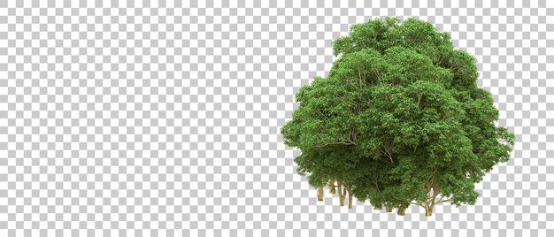 Bosque verde aislado en el fondo Ilustración de renderización 3D