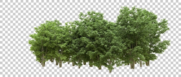 Bosque verde aislado en el fondo Ilustración de renderización 3D