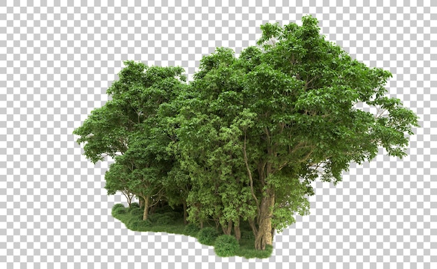 Bosque verde aislado en el fondo Ilustración de renderización 3D