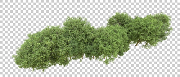 Bosque verde aislado en el fondo Ilustración de renderización 3D