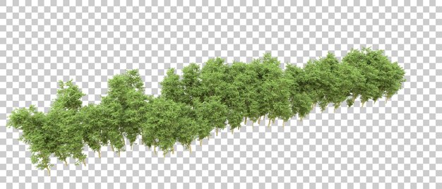 Bosque verde aislado en el fondo Ilustración de renderización 3D