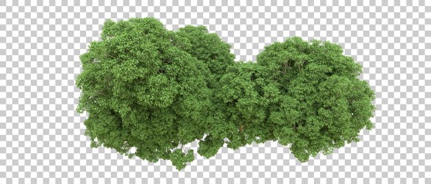 Bosque verde aislado en el fondo Ilustración de renderización 3D