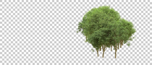 PSD bosque verde aislado en el fondo ilustración de renderización 3d