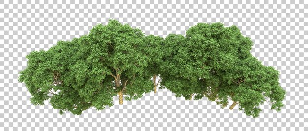 Bosque verde aislado en el fondo Ilustración de renderización 3D