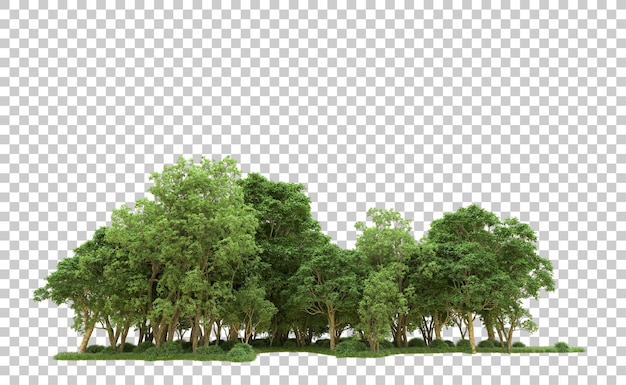 Bosque verde aislado en el fondo Ilustración de renderización 3D