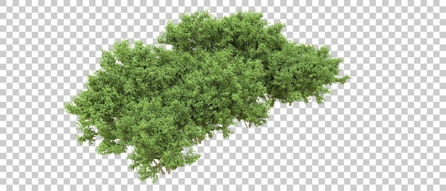 Bosque verde aislado en el fondo Ilustración de renderización 3D