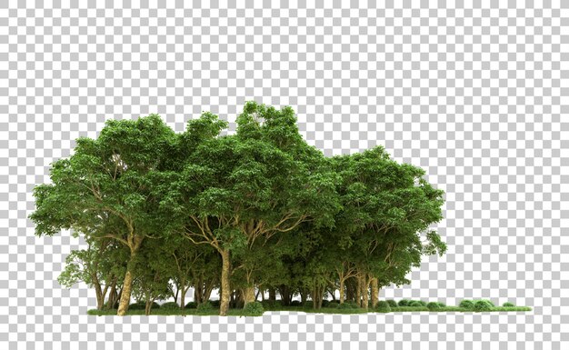 PSD bosque verde aislado en el fondo ilustración de renderización 3d