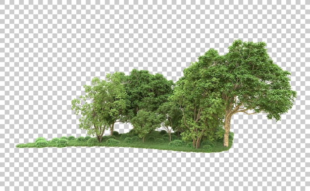 Bosque verde aislado en el fondo Ilustración de renderización 3D