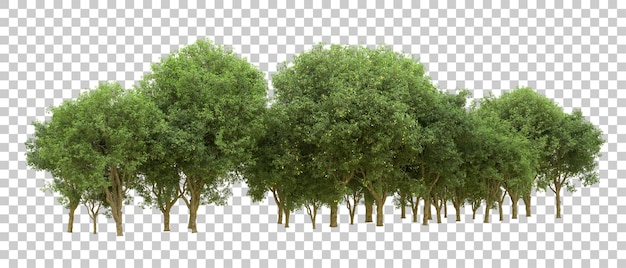 PSD bosque verde aislado en el fondo ilustración de renderización 3d