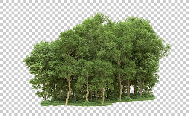 Bosque verde aislado en el fondo Ilustración de renderización 3D