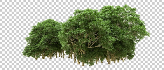 Bosque verde aislado en el fondo Ilustración de renderización 3D