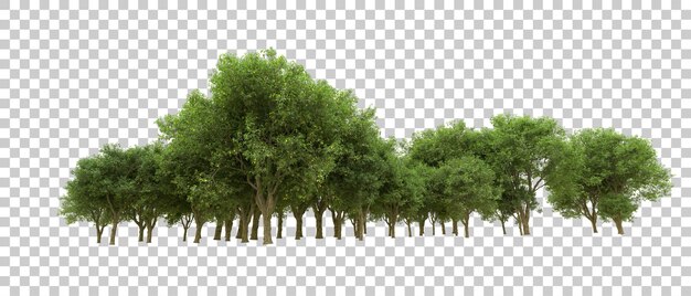 PSD bosque verde aislado en el fondo ilustración de renderización 3d