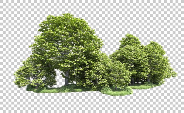Bosque verde aislado en el fondo Ilustración de renderización 3D