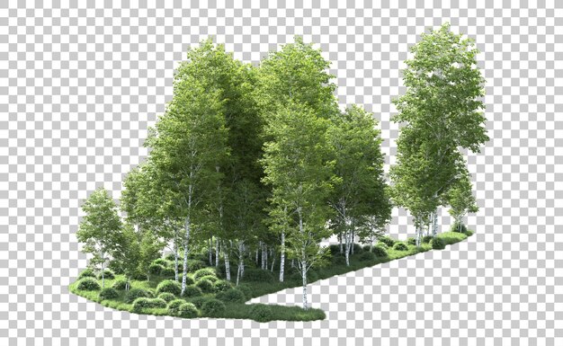 PSD bosque verde aislado en el fondo ilustración de renderización 3d