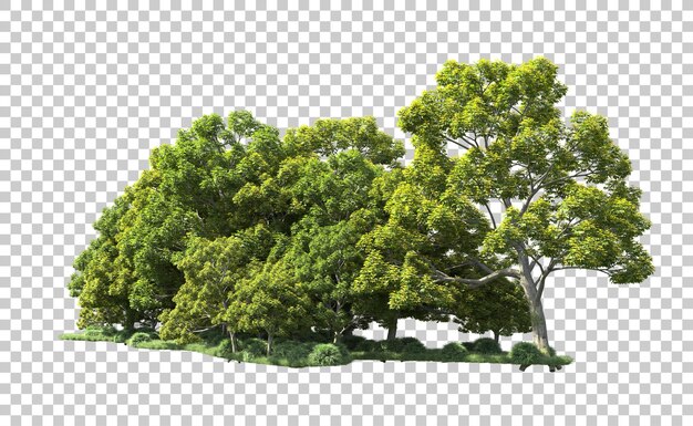 Bosque verde aislado en el fondo Ilustración de renderización 3D