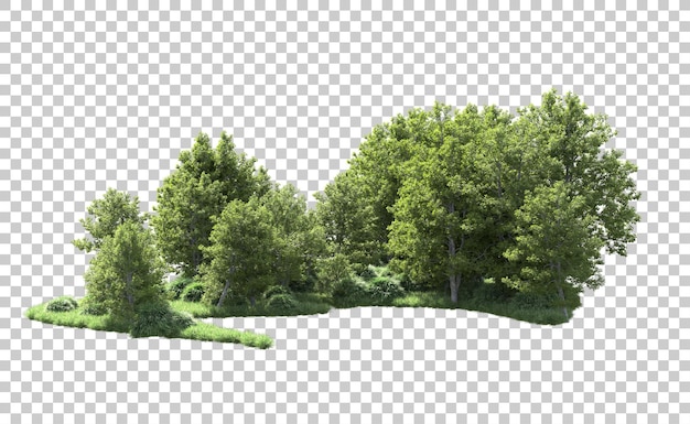 Bosque verde aislado en el fondo Ilustración de renderización 3D