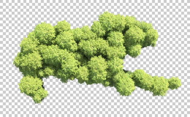 Bosque verde aislado en el fondo Ilustración de renderización 3D