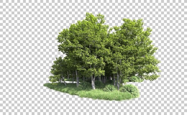 Bosque verde aislado en el fondo Ilustración de renderización 3D