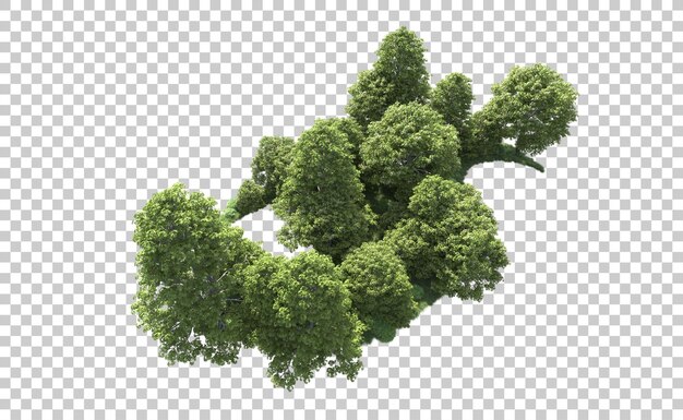 Bosque verde aislado en el fondo Ilustración de renderización 3D