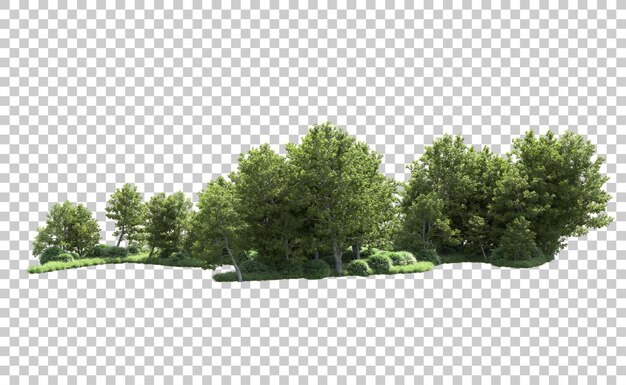 Bosque verde aislado en el fondo Ilustración de renderización 3D