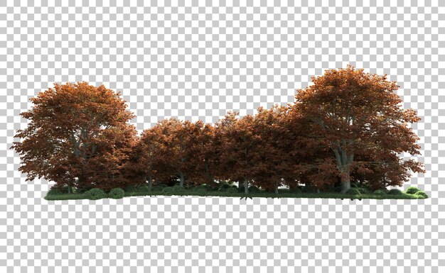 Bosque verde aislado en el fondo Ilustración de renderización 3D