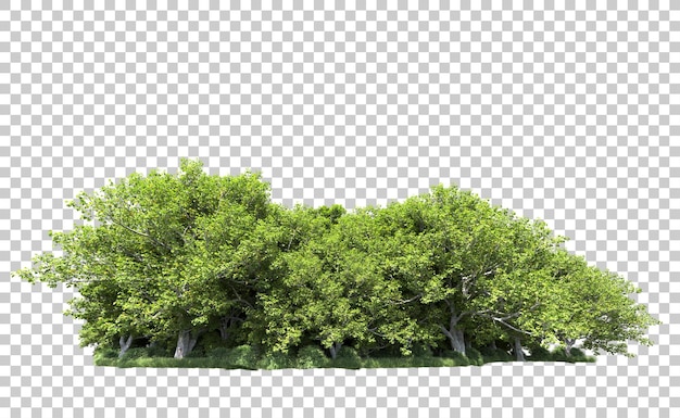 Bosque verde aislado en el fondo Ilustración de renderización 3D
