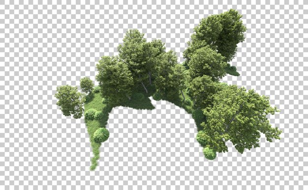 Bosque verde aislado en el fondo Ilustración de renderización 3D