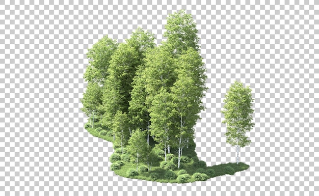 Bosque verde aislado en el fondo Ilustración de renderización 3D