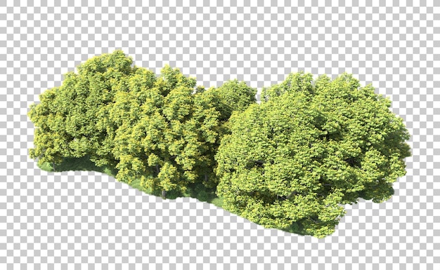 Bosque verde aislado en el fondo Ilustración de renderización 3D