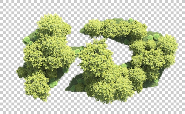 Bosque verde aislado en el fondo Ilustración de renderización 3D
