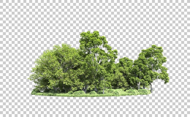 Bosque verde aislado en el fondo Ilustración de renderización 3D