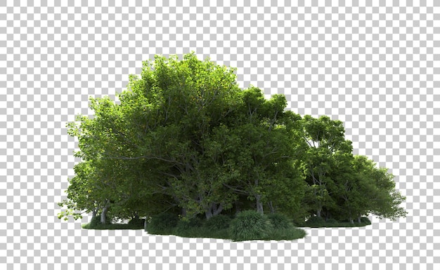 Bosque verde aislado en el fondo Ilustración de renderización 3D