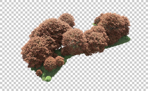 Bosque verde aislado en el fondo Ilustración de renderización 3D