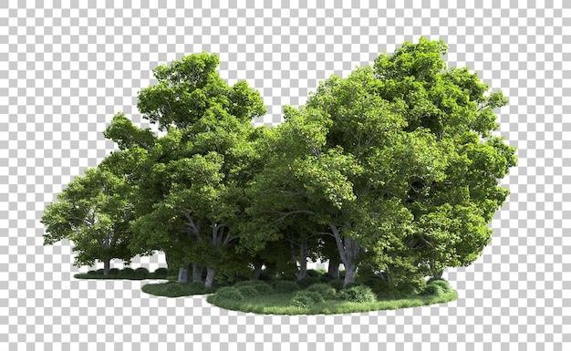 PSD bosque verde aislado en el fondo ilustración de renderización 3d