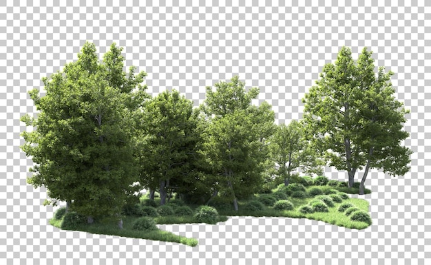 Bosque verde aislado en el fondo Ilustración de renderización 3D