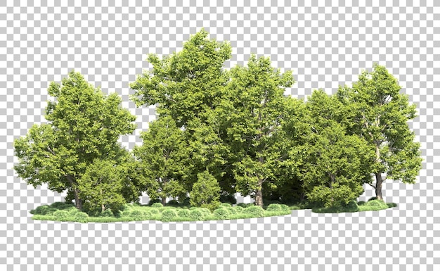 Bosque verde aislado en el fondo Ilustración de renderización 3D