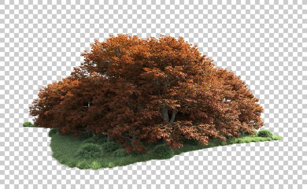 Bosque verde aislado en el fondo Ilustración de renderización 3D