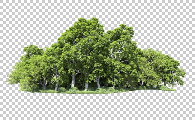 Bosque verde aislado en el fondo Ilustración de renderización 3D