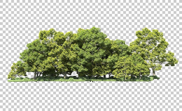 Bosque verde aislado en el fondo Ilustración de renderización 3D