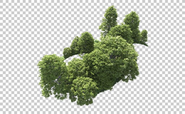 Bosque verde aislado en el fondo Ilustración de renderización 3D