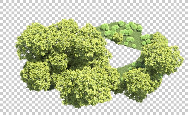 Bosque verde aislado en el fondo Ilustración de renderización 3D