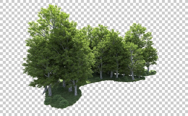 Bosque verde aislado en el fondo ilustración de renderización 3d